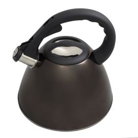 Mr. Coffee Clarendon 2.6 Qt Stainless Steel Tea Kettle in Gunmetal Metallic